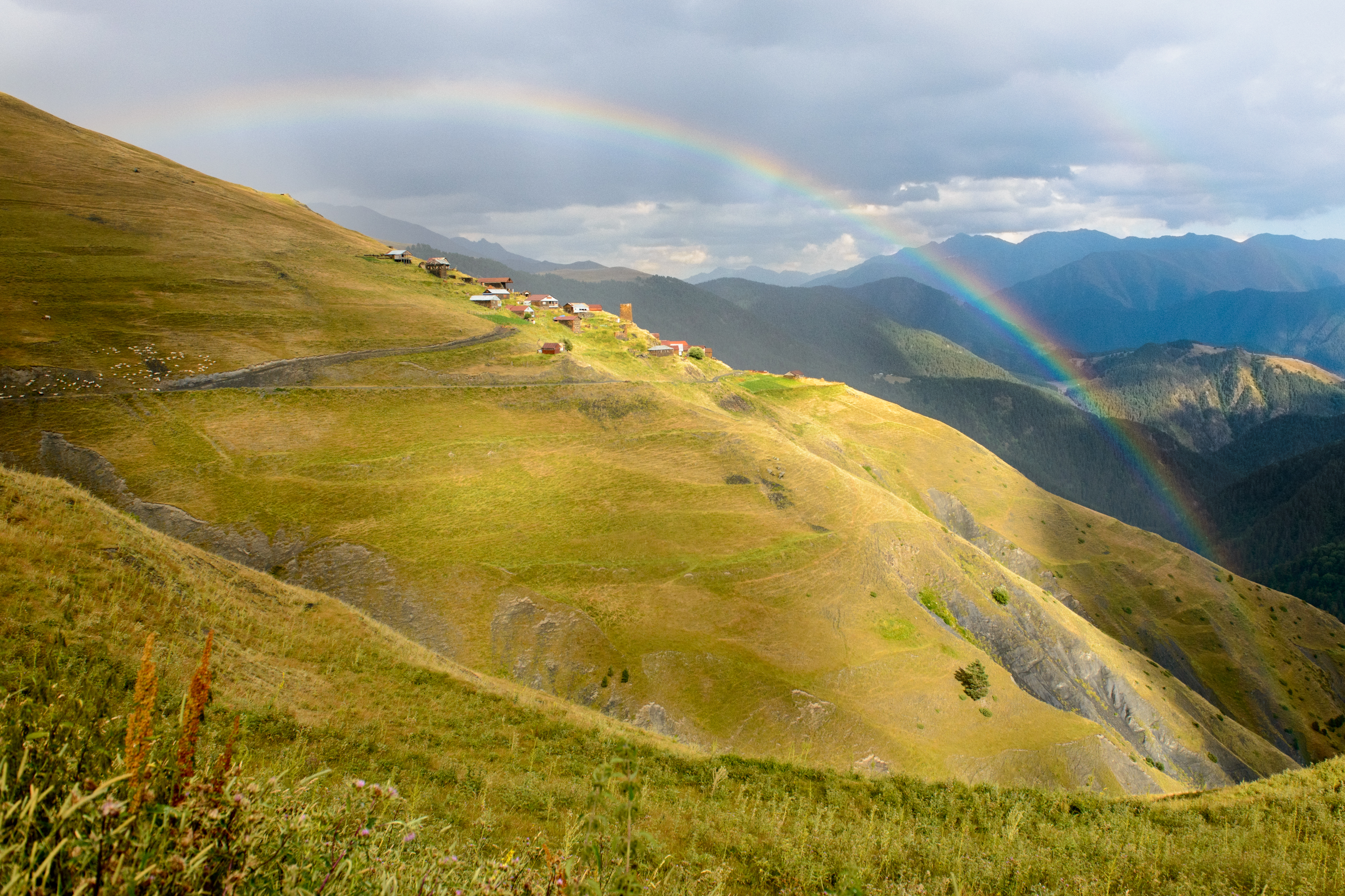 Georgia tbilisi dating site-in-Keingaro Forest